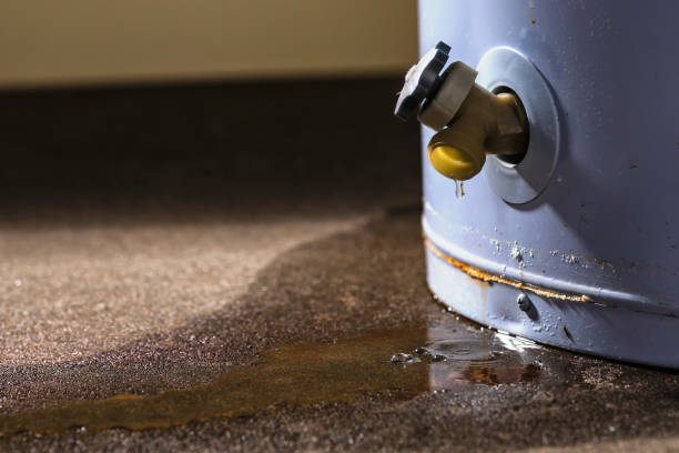 Best Professional water damage repair  in Sullivan, IL