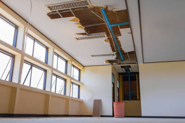 Best 24-hour water damage restoration  in Sullivan, IL