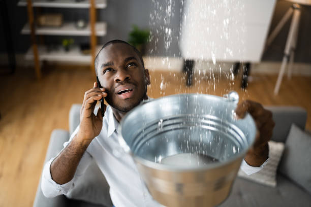 Best Commercial water damage restoration  in Sullivan, IL