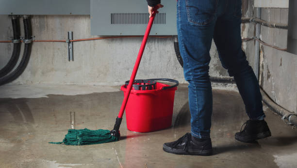Best Water damage restoration near me  in Sullivan, IL