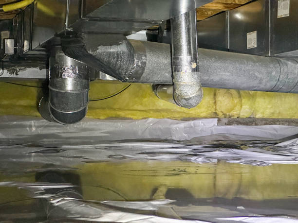 Best Water damage contractors near me  in Sullivan, IL