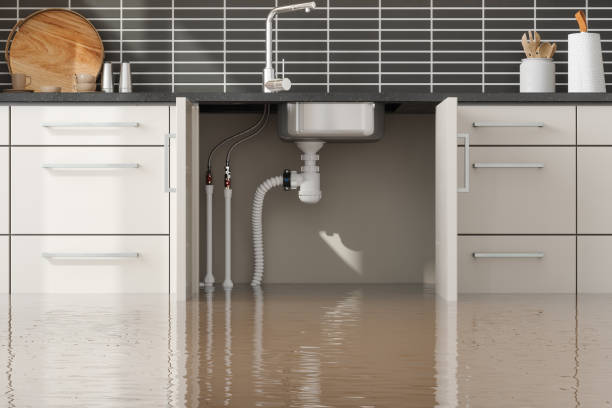 Best Professional water damage repair  in Sullivan, IL